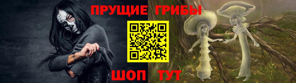Нурлат  Псилоцибиновые грибы Psilocybine cubensis  Вход с VPN  Галлюциногенные грибы Psilocybine cubensis 